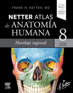 atlas netter de anatomía humana