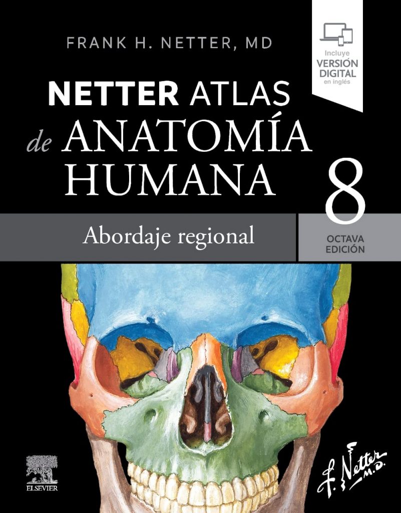 Opinión de Netter. Atlas de anatomía humana. Abordaje regional – Reseña completa y análisis profesional atlas netter de anatomía humana