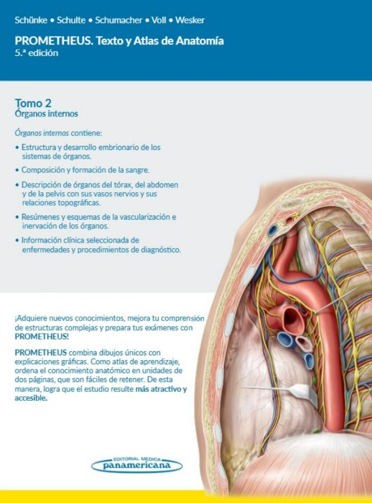 Prometheus Atlas de Anatomía: análisis y opiniones profesionales Prometheus – Órganos internos 2